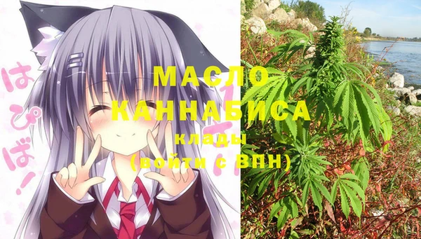 дмт Абинск