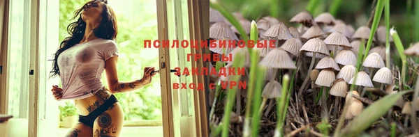 а пвп мука Абаза