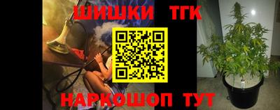 индика Вышний Волочёк