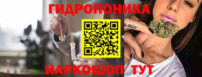 индика Вышний Волочёк