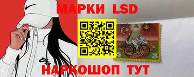 индика Вышний Волочёк