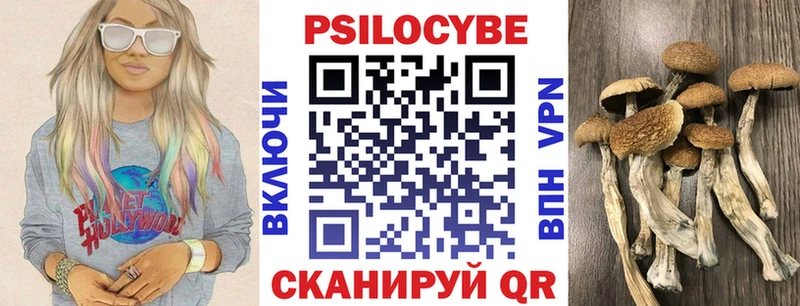 закладка  Белая Калитва  KRAKEN зеркало  Галлюциногенные грибы Psilocybe 