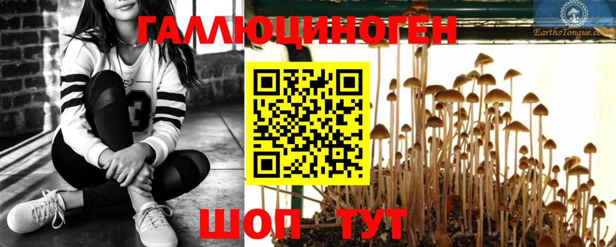 Псилоцибиновые грибы Psilocybe  Псилоцибиновые грибы MAGIC MUSHROOMS  Вход с VPN  Белая Калитва 